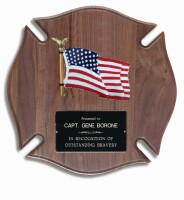 Eagle award plaque